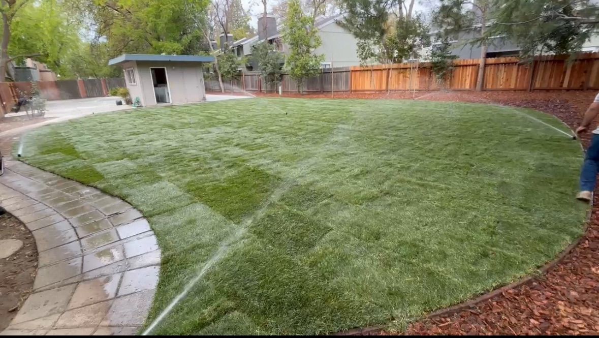 image of a completed backyard project