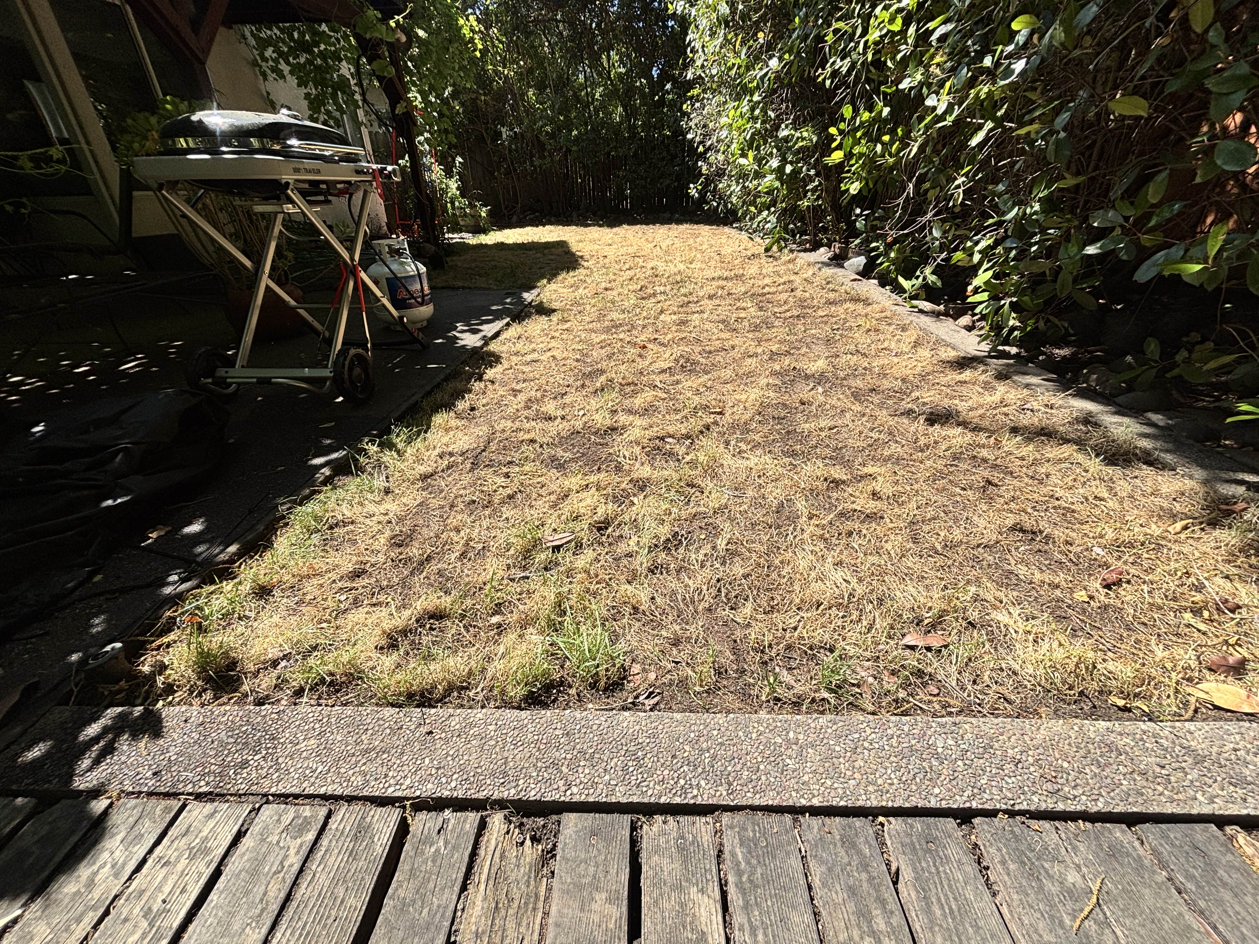 image of an outdoor wedding