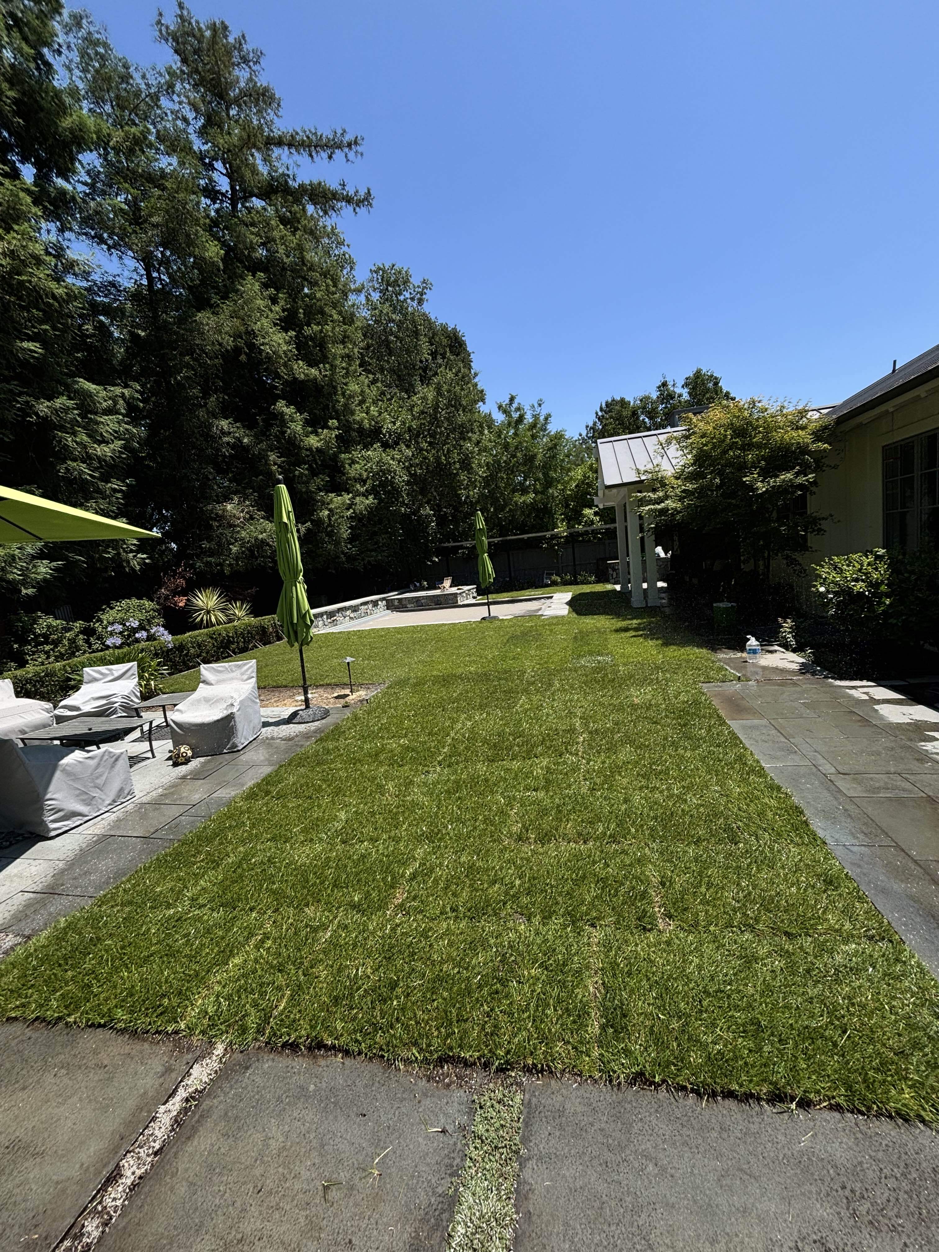 [background image] image of an urban landscape (for an ai marketing tech company)